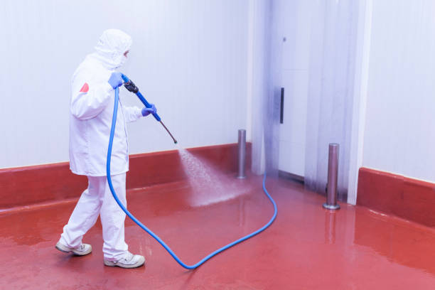 Best Parking Lot and Garage Cleaning  in Loretto, PA
